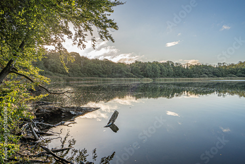 Silent lake