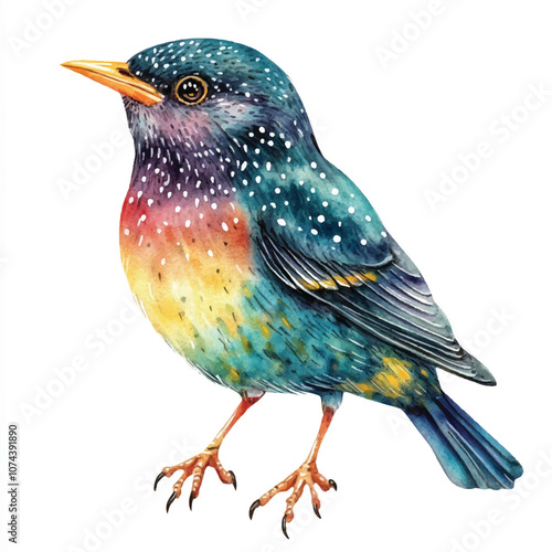 cute Starling Bird watercolor clipart illustration isolated