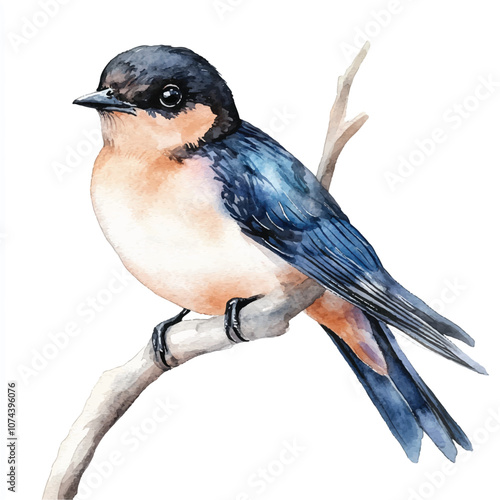 cute Swallow watercolor clipart illustration isolated