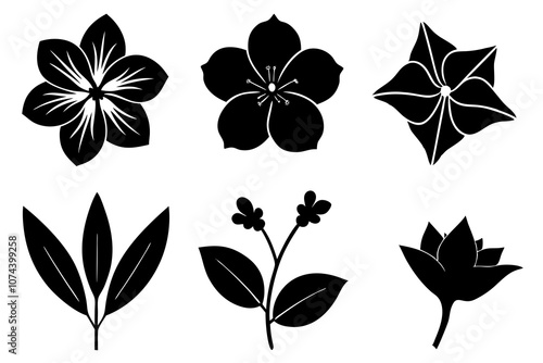 6 vector silhouette icon set of Clematis, Allium, Bougainvillea, Pansy, Snapdragon, Petunia