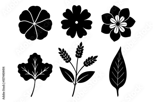 6 vector silhouette icon set of Nasturtium, Morning Glory, Verbena, Phlox, Hyacinth, Queen Anne’s Lace