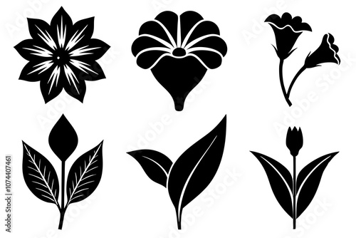 6 vector silhouette icon set of Black-eyed Susan, Calla Lily, Yarrow, Bleeding Heart, Oleander, Bellflower