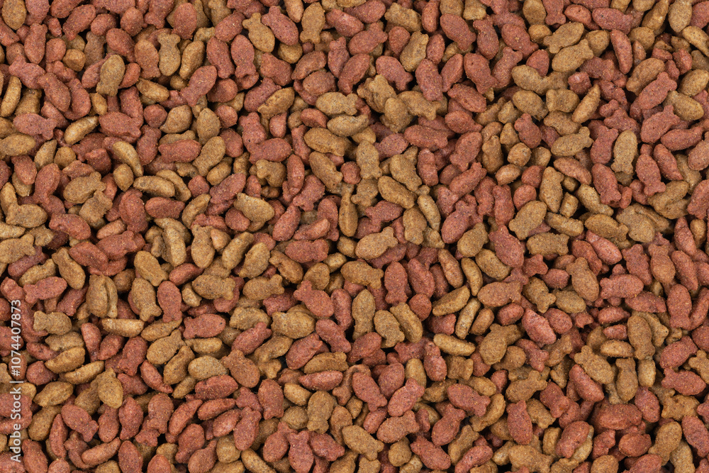 dry pet food background texture. close up. top view dry pet food background texture. close up. top view
