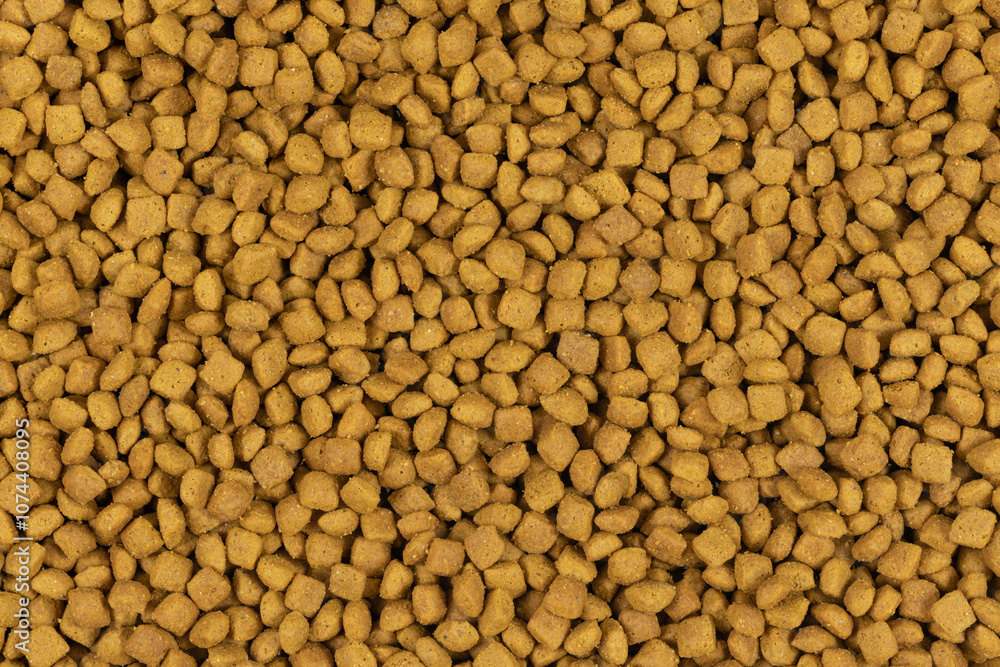 dry pet food background texture. close up. top view dry pet food background texture. close up. top view