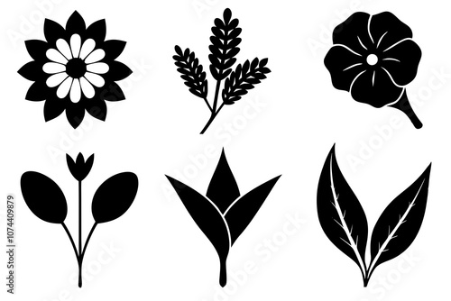 6 vector silhouette icon set of Black-eyed Susan, Calla Lily, Yarrow, Bleeding Heart, Oleander, Bellflower