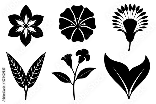 6 vector silhouette icon set of Black-eyed Susan, Calla Lily, Yarrow, Bleeding Heart, Oleander, Bellflower