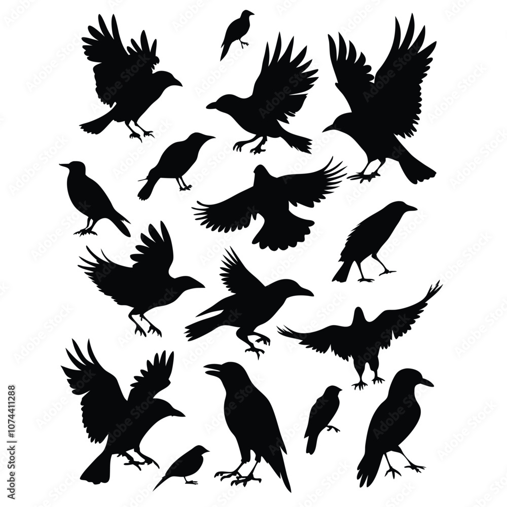 Obraz premium a set of flying bird vector silhouette isolated white background