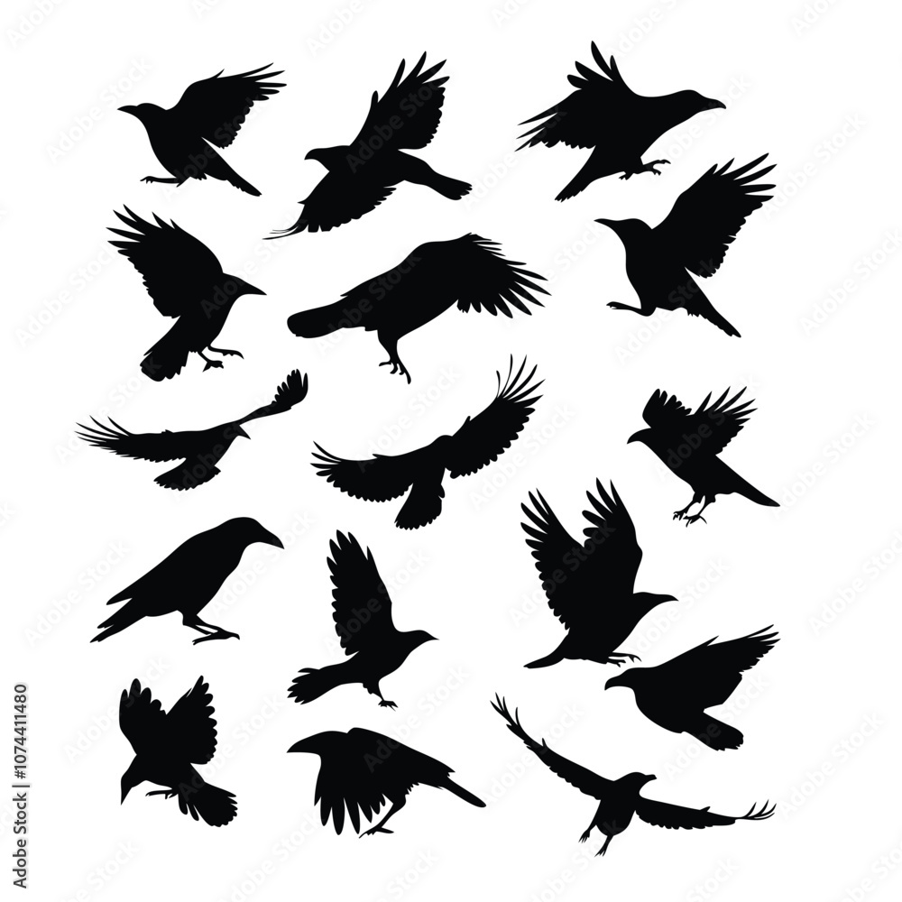 Obraz premium a set of flying bird vector silhouette isolated white background