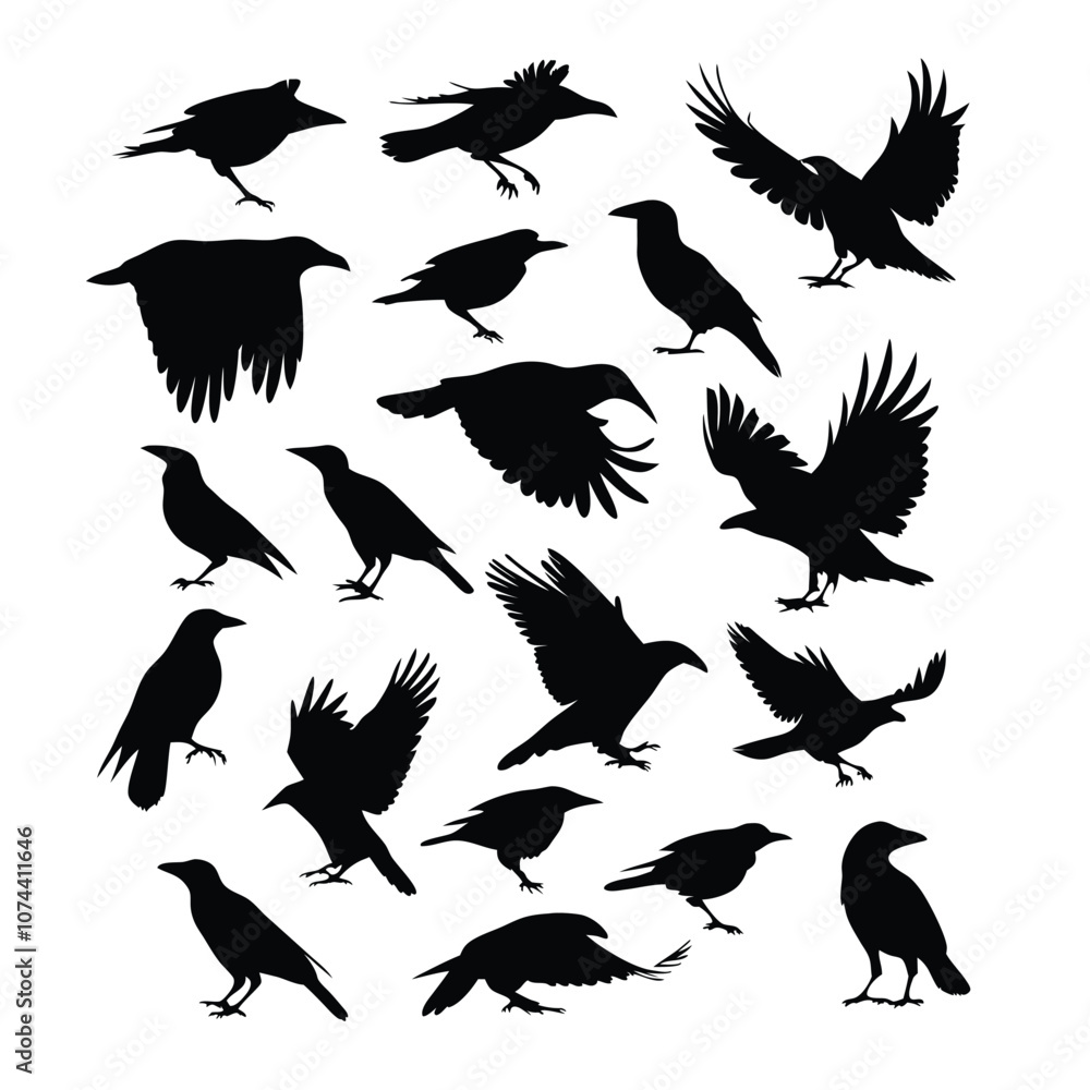 Fototapeta premium a set of flying bird vector silhouette isolated white background