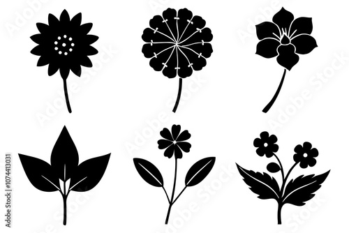 6 vector silhouette icon set of Sweet William, Candytuft, Lotus, Borage, Bachelor’s Button, Cyclamen