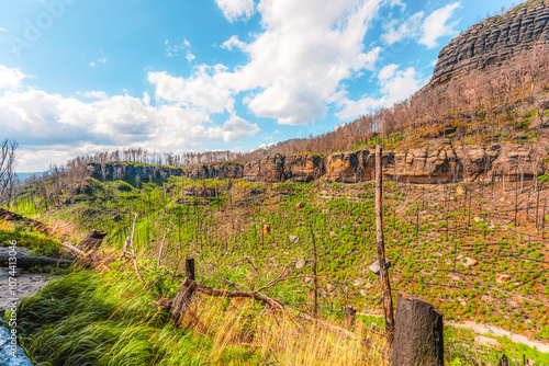 Hiking to pravcicka Brana (Pravcicka Gate) in Bohemian Switzerland National Park. Biggest natural arch in Europe photo