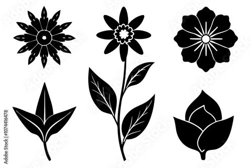 6 vector silhouette icon set of Edelweiss, Hollyhock, Tuberose, Indian Paintbrush, Forget-me-not, Calendula