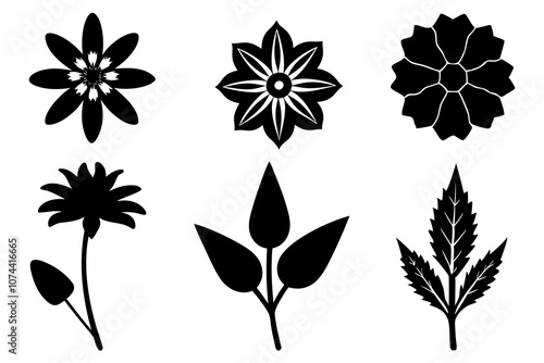 6 vector silhouette icon set of Edelweiss, Hollyhock, Tuberose, Indian Paintbrush, Forget-me-not, Calendula