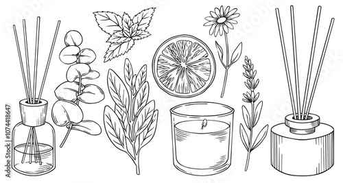 set of aroma diffusers with sticks and candles. vector illustration in sketch style.