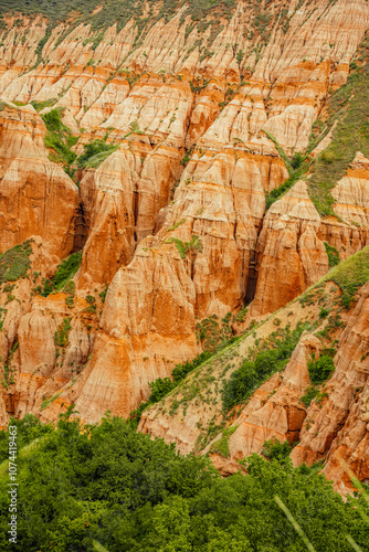 Red rocky slopes Rapa Rosie is a protected geological and floristic reservation area near Sebes alba in Romania