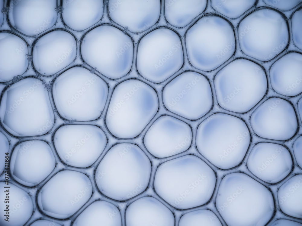 Macro close up of soap bubbles look like scientific image of cell and cell membrane Macro close up of soap bubbles look like scientific image of cell and cell membrane