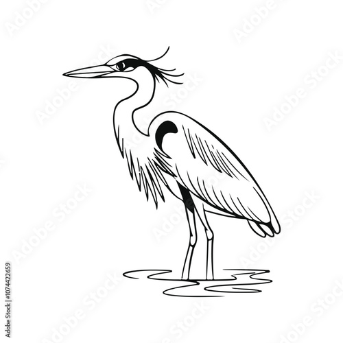 Black Heron bird silhouette hand drawing line art vector