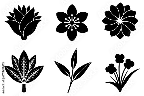 6 vector silhouette icon set of Mimosa, Saffron Crocus, Vinca, Plumeria, Gaillardia, Coreopsis