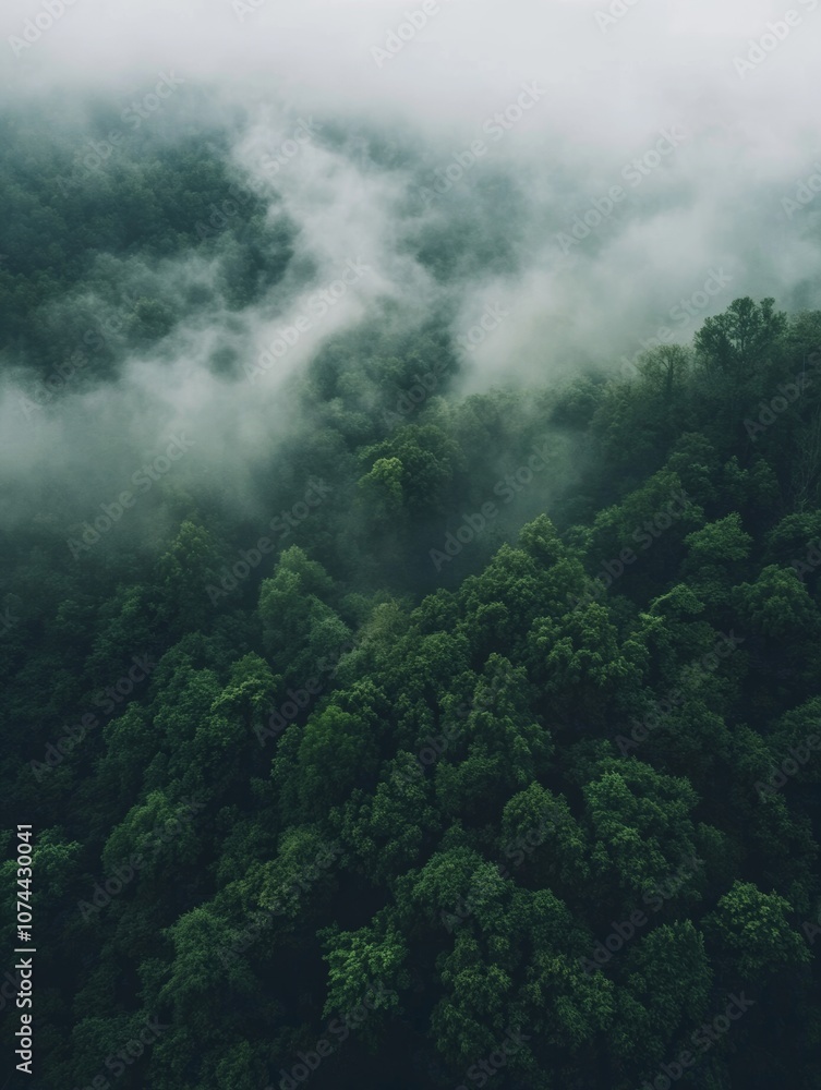 Aerial view of a dense jungle forest with fog and clouds, a rainforest landscape. - ai Aerial view of a dense jungle forest with fog and clouds, a rainforest landscape. - ai