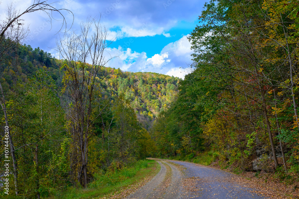 Obraz premium The Grand Canyon of Pennsylvania at Leonard Harrison State Park, in Watson Township, Pennsylvania.