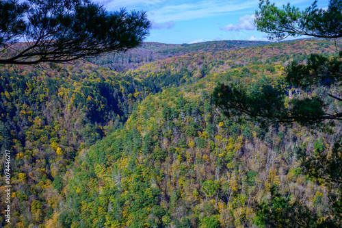 The Grand Canyon of Pennsylvania at Leonard Harrison State Park, in Watson Township, Pennsylvania. photo