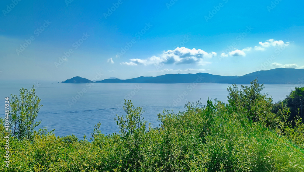 View of Enfola on Elba island