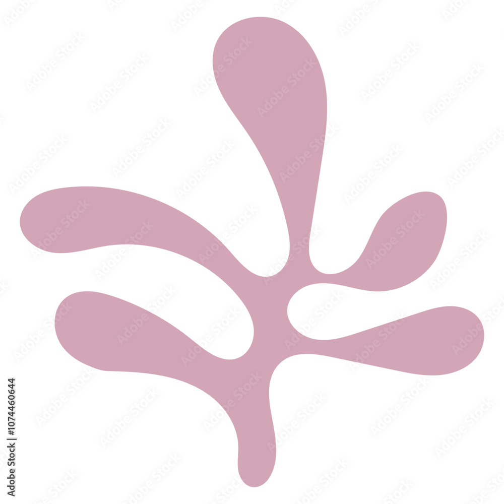 Coral Abstract Shape Coral Abstract Shape