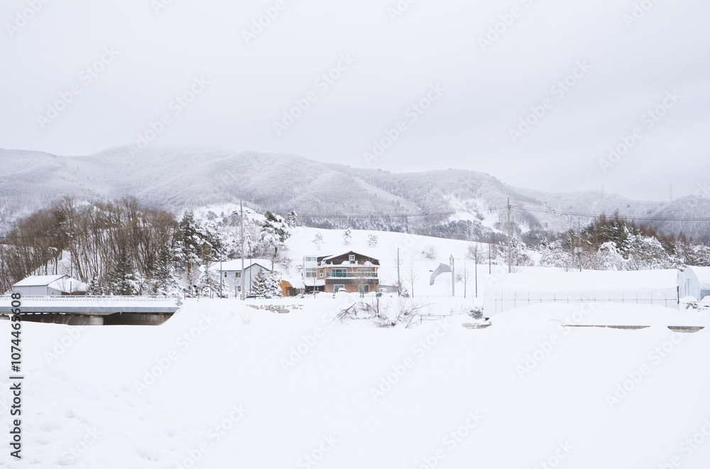 Snow Scenery of Daegwallyeong, Gangwon-do, Korea Snow Scenery of Daegwallyeong, Gangwon-do, Korea