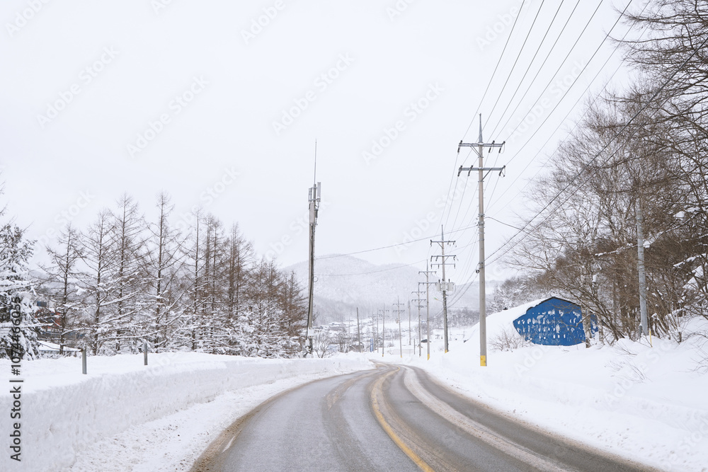 Snow Scenery of Daegwallyeong, Gangwon-do, Korea Snow Scenery of Daegwallyeong, Gangwon-do, Korea