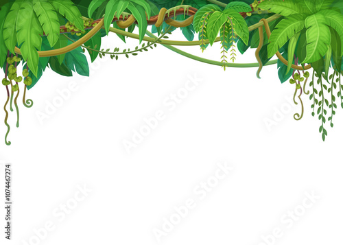 Jungle forest liana branches and tropical ivy vine frame, vector blank background. Tropical rainforest monstera leaf plant or jungle liana and bindweed tree with climbing tendrils in border frame