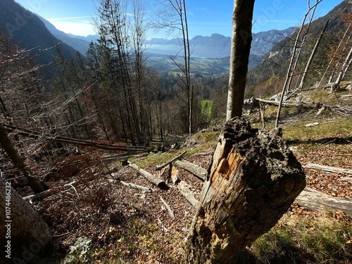 Wanderung Hintersteinersee 11-2024 photo