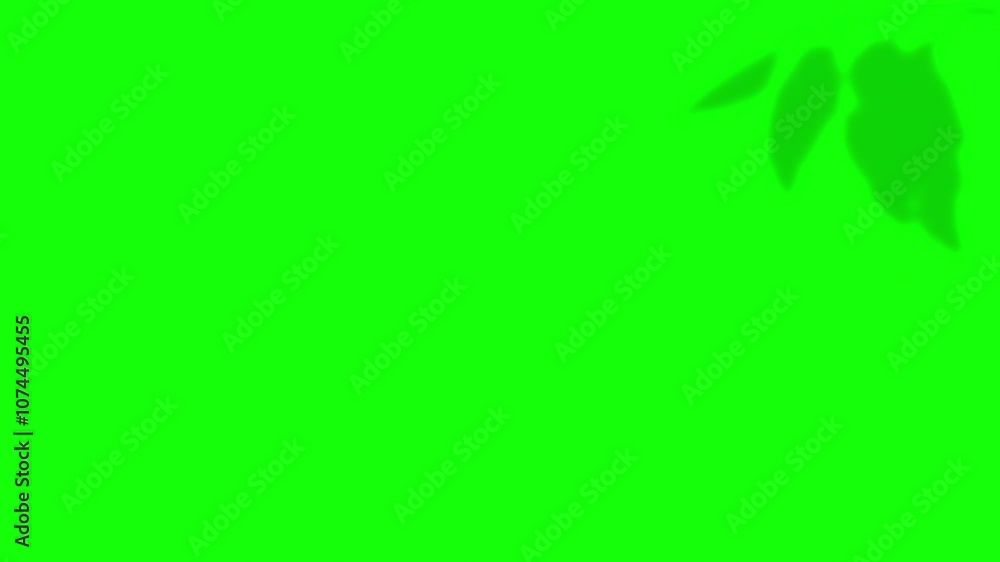 Shadow Overlay on green Screen. motion graphics. Shadow Overlay on transparent background. Popup design element for videos and clips. Shadow Overlay transparent background. Shadow Overlay on green Screen. motion graphics. Shadow Overlay on transparent background. Popup design element for videos and clips. Shadow Overlay transparent background.