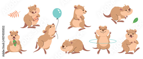 Cartoon quokka. Funny quokka hold hold leaf and balloon, jump and doing exercises. Tiny australian animal with baby, cute wallaby nowaday vector set