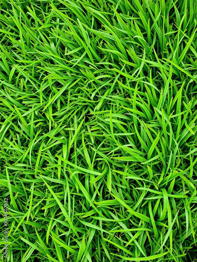 Lush and vibrant green grass texture background perfect for nature themes or eco-friendly concepts, organic, foliage Lush and vibrant green grass texture background perfect for nature themes or eco-friendly concepts, organic, foliage