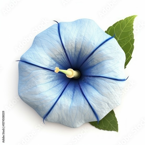 Wallpaper Mural A detailed 3D rendering of a single morning glory, with delicate blue petals and a star-shaped center Torontodigital.ca