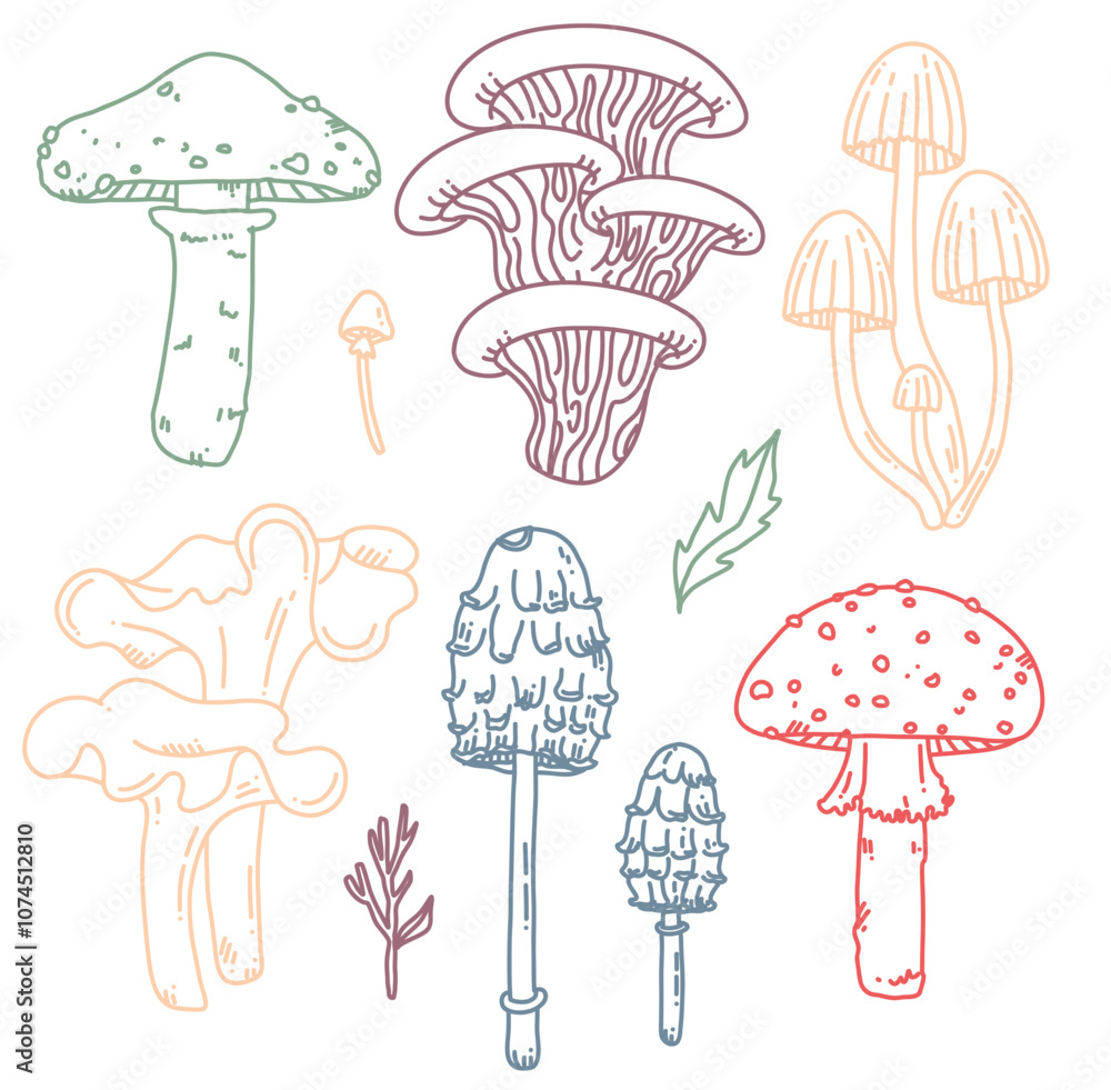 vector set with mushrooms vector set with mushrooms