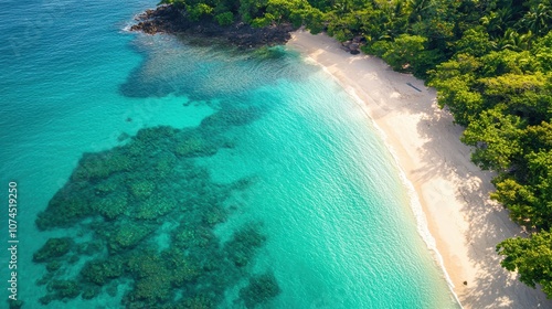 Aerial View of Serene Tropical Beach with Clear Blue Water, Soft Sand, and Lush Greenery Surrounding the Calm Shoreline Under Bright Sky