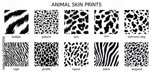 Animal skin types pattern print set. Bager gepard lynx cow dolmatin dog tiger giraffe hyena zebra leopard. Simple black and white flat square shape vector samples. Isolated on white background