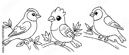 bird outline set  