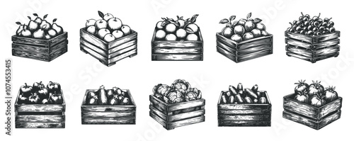 Crate with fruits and vegetables set. Organic food package wooden box timber container. Fresh produce harvest. Farm market food goods. Black and white simple flat style. Isolated vector on white