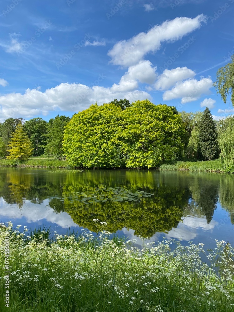 Vibrant green trees reflecting on a tranquil lake under a bright blue sky with scattered clouds, surrounded by lush vegetation. Perfect for nature, relaxation, and scenic beauty themes.