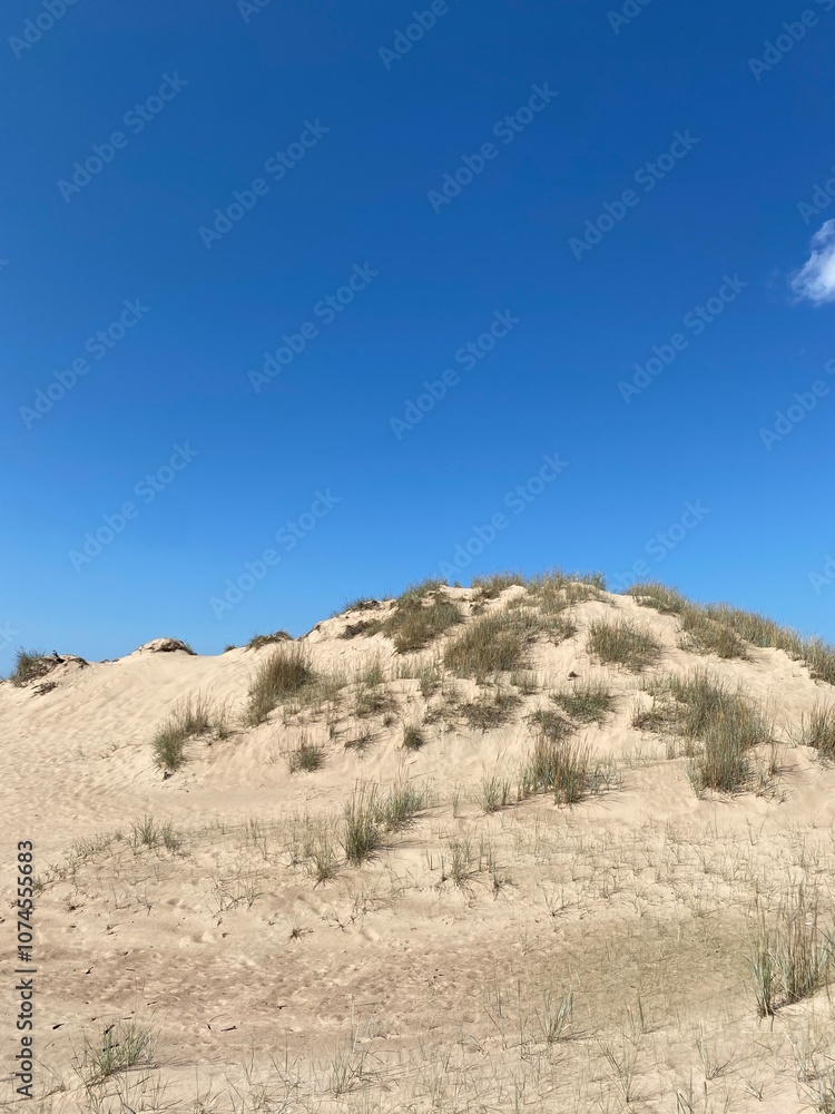 Finnish sandy dune with sparse grass under a clear blue sky, highlighting the minimalist beauty of Finland's coastal landscape. Ideal for themes of solitude, wilderness, and Nordic nature.
Finnish sandy dune with sparse grass under a clear blue sky, highlighting the minimalist beauty of Finland's coastal landscape. Ideal for themes of solitude, wilderness, and Nordic nature.