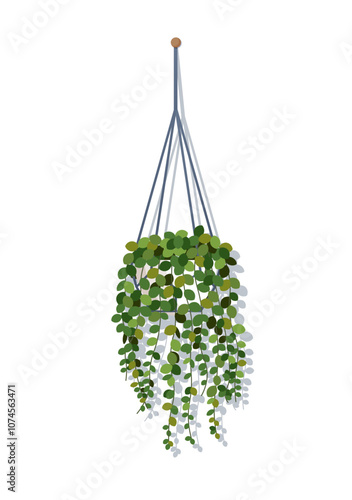 House plant in macrame hanging pot. Green houseplant on background of white wall. Ecological decoration for home. Stock vector illustration.