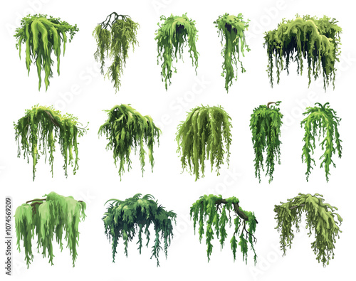 Green jungle moss set. Marsh forest plant. Creeping grouth lichen hanging on the tree brunches. Botanical exotic nature design element for game apps decoration. Cartoon style isolated vector clipart