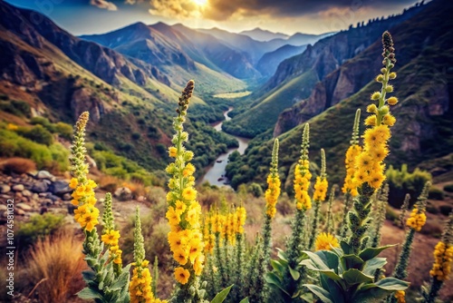 Vintage Style Photography of Mullein Verbascum arcturus in Bloom Amidst the Scenic Beauty of Imbros Gorge, Crete, Greece - Captured in April 2009 photo