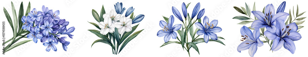 Gorgeous blooming blue and white Lily of the Nile Agapanthus flowers with striking green leaves This floral showcases the elegant natural beauty of this beloved botanical plant Gorgeous blooming blue and white Lily of the Nile Agapanthus flowers with striking green leaves This floral showcases the elegant natural beauty of this beloved botanical plant