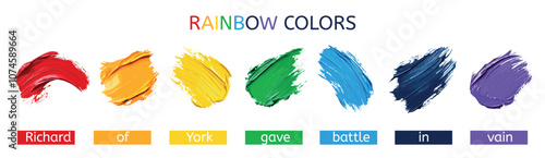 Rainbow colors set. Colored paint texture stroke. Nursery rhyme for remembering colours. Acrylic abstract brushstrokes. Cards educational poster banner design element. Cartoon style vector