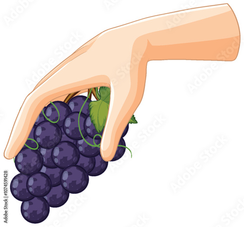 Hand Holding a Bunch of Grapes