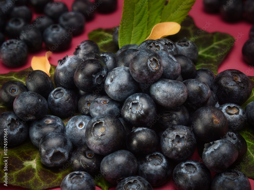 Blueberries with leaves on a red background plain Blueberries with leaves on a red background plain