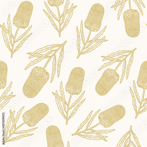 Hand drawn banksia flower background. Australian native plant